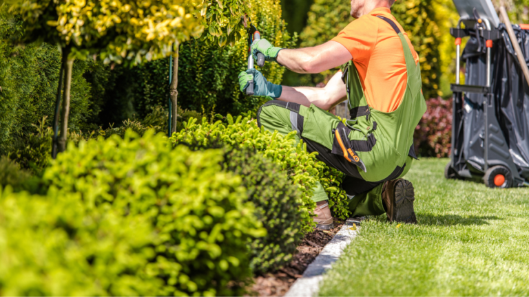 Design sem nome (27)